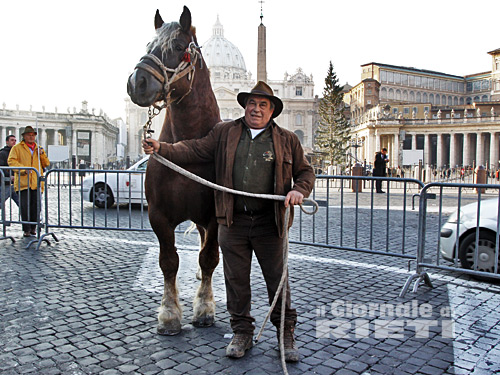 Coldiretti: domani in piazza San Pietro con animali e allevatori
