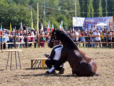  tempo di ringraziamenti