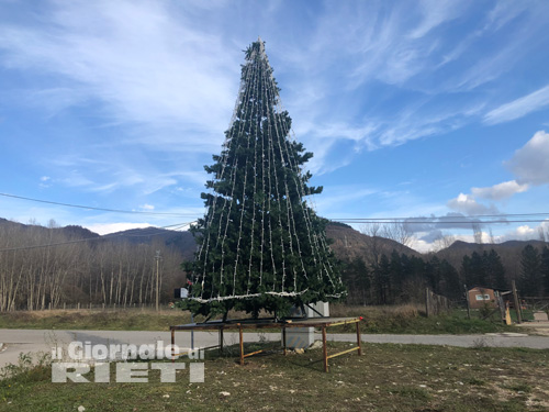 Terremoto, Unindustria dona lalbero di Natale a Cittareale