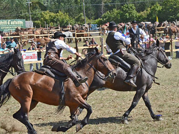 Cittareale, chiude Nitriti d'autunno ed  un successo