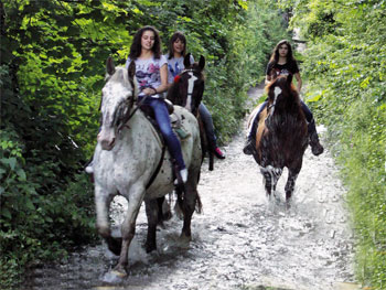 C come Cittareale, cavalli e carrozze