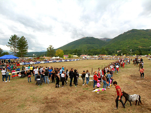 Tre giorni con la Festa Cavalli di Cittareale