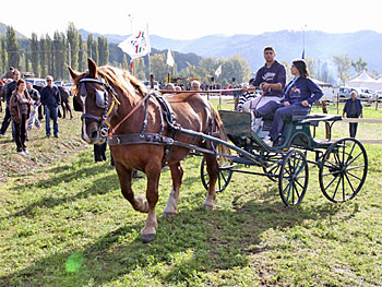 Cittareale a cavallo una vera magia