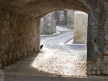 6 dipinti per una frazione