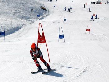 Ai canapi il II Trofeo Selvarotonda Giulia Ricciuti