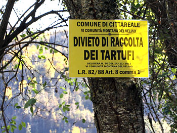 Divieto raccolta tartufi stagione 2011/2012 presso le tartufaie del comune dl Cittareale